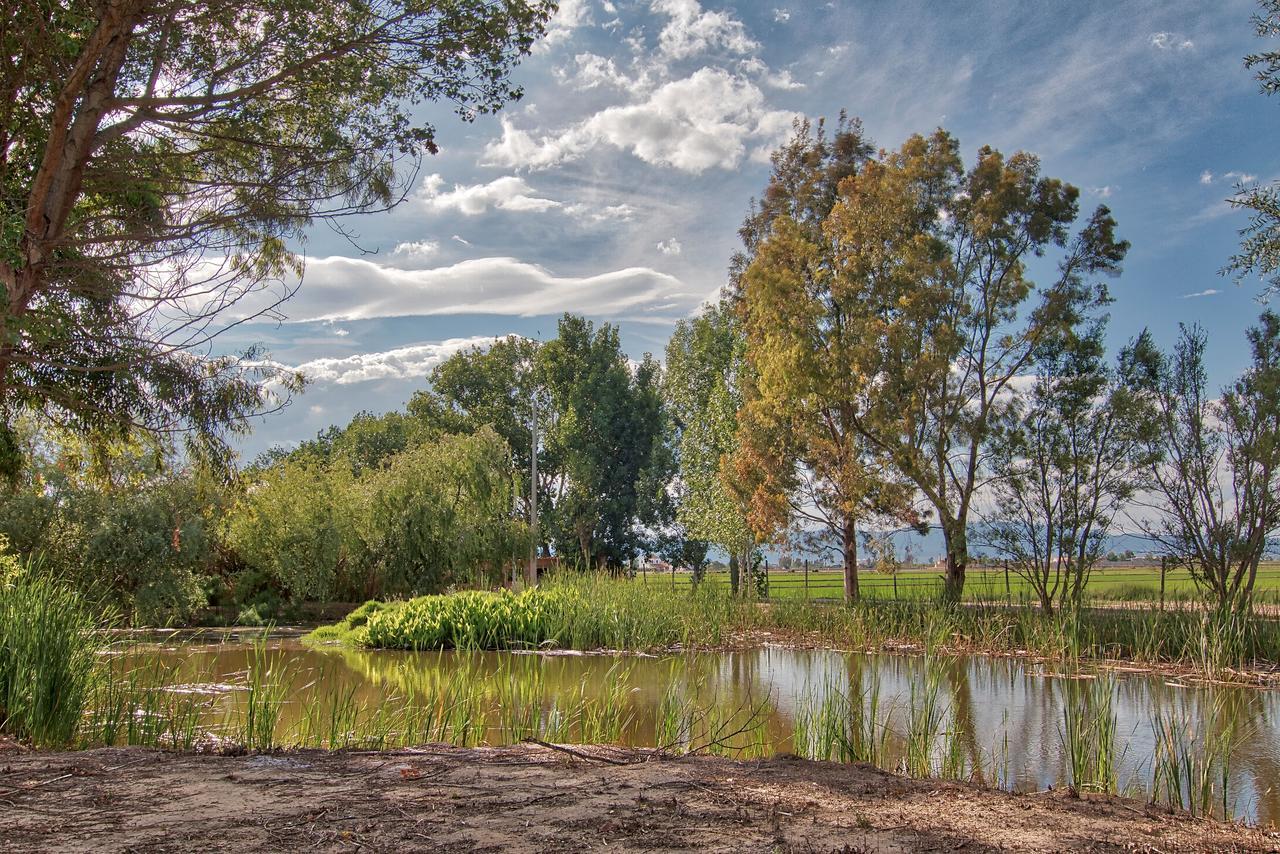 La Illeta Villa Deltebre Luaran gambar