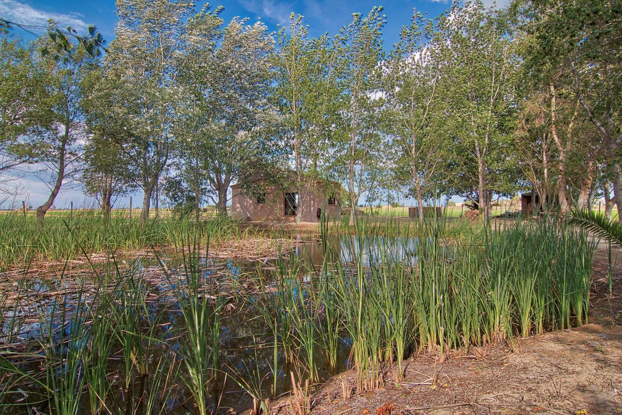 La Illeta Villa Deltebre Luaran gambar