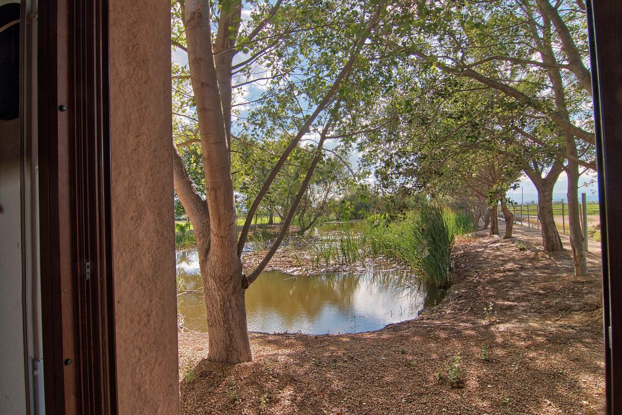 La Illeta Villa Deltebre Luaran gambar